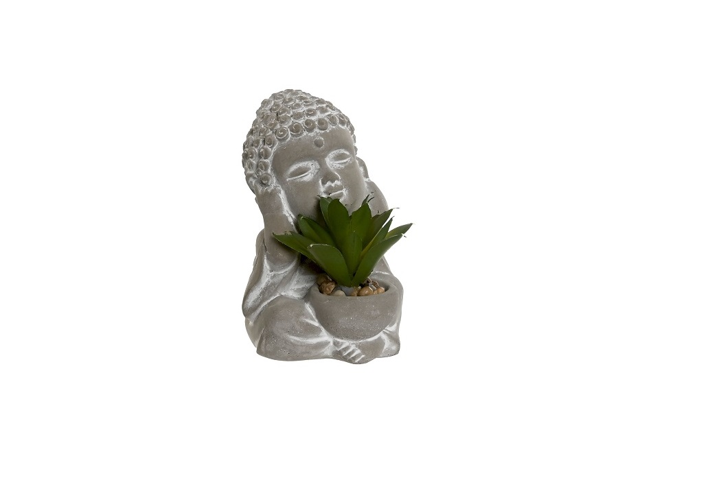 PLANTA CEMENTO PE 8,5X7X11 BUDHA